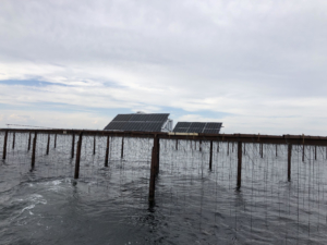 Installation de panneaux solaires sur les tables de cultures d'huîtres de l'étang de Thau